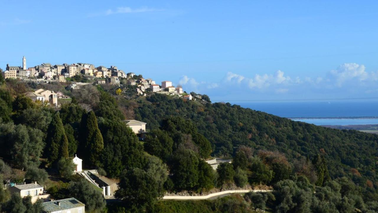 Au Coeur Du Village De Lucciana Lucciana  Εξωτερικό φωτογραφία